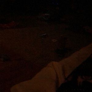 Meet your Posher, Patsy